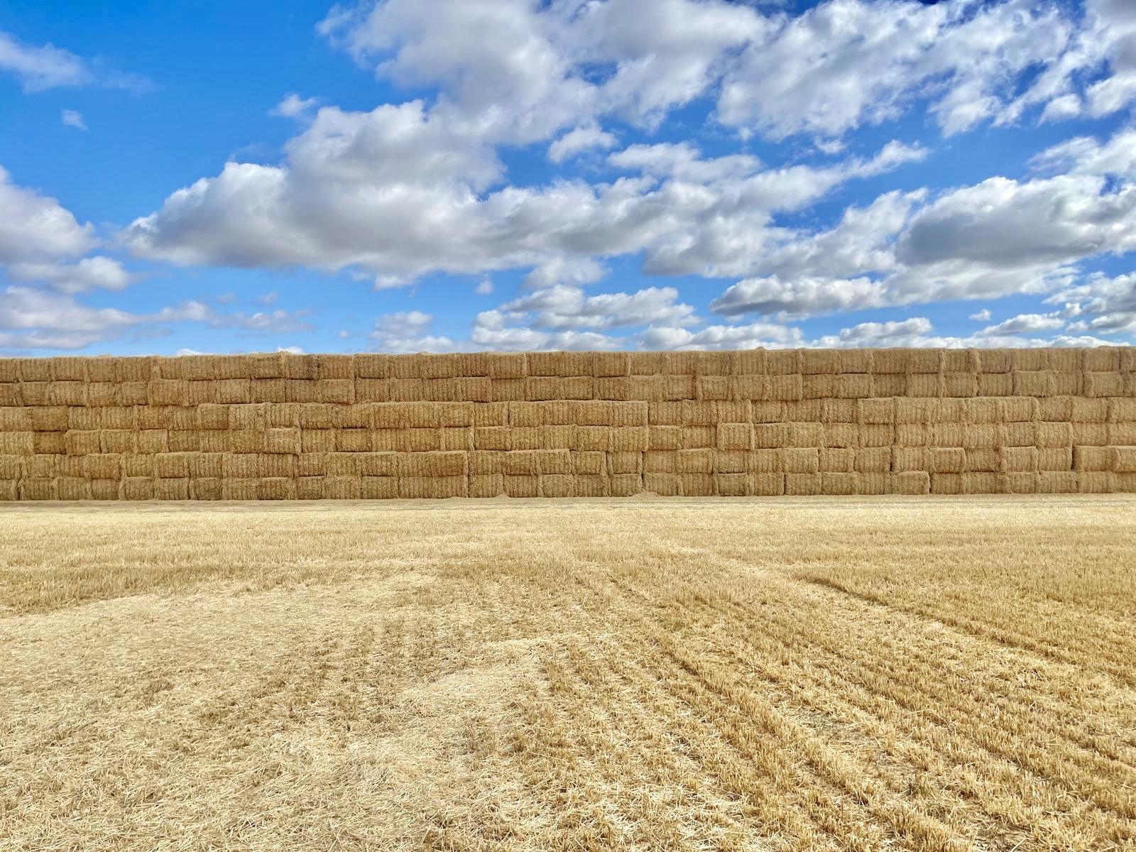 Wall of straw bales